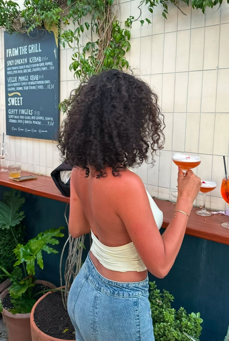 BURMESE CURLY