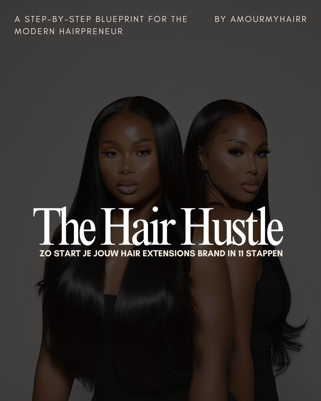 DUTCH VERSION--THE HAIR HUSTLE:Zo start je jouw hair extensions brand in 11 stappen