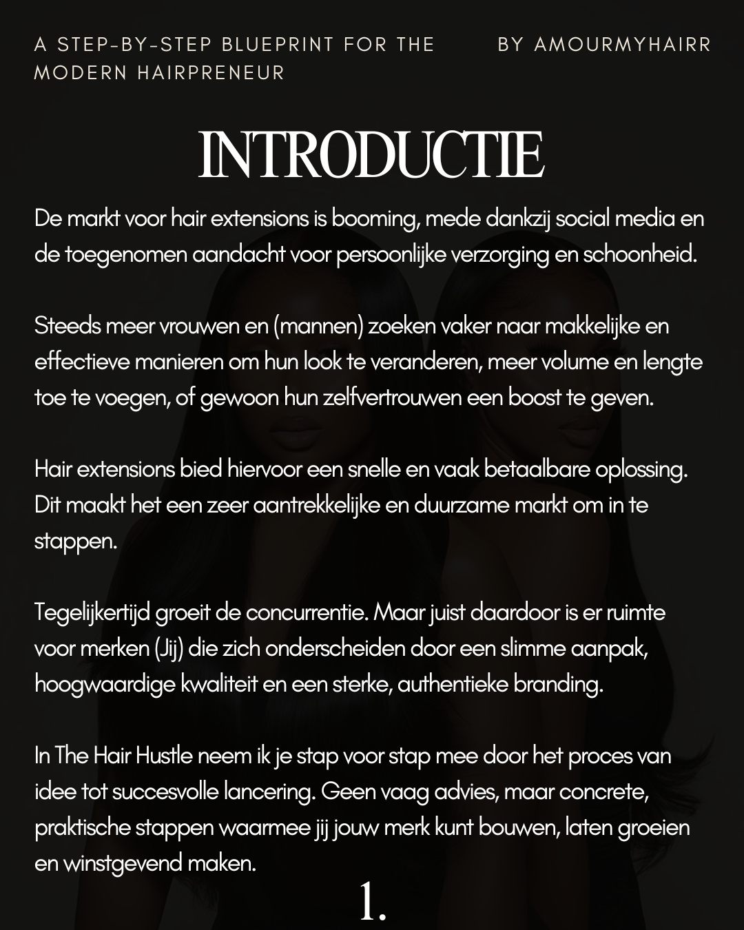 DUTCH VERSION--THE HAIR HUSTLE:Zo start je jouw hair extensions brand in 11 stappen