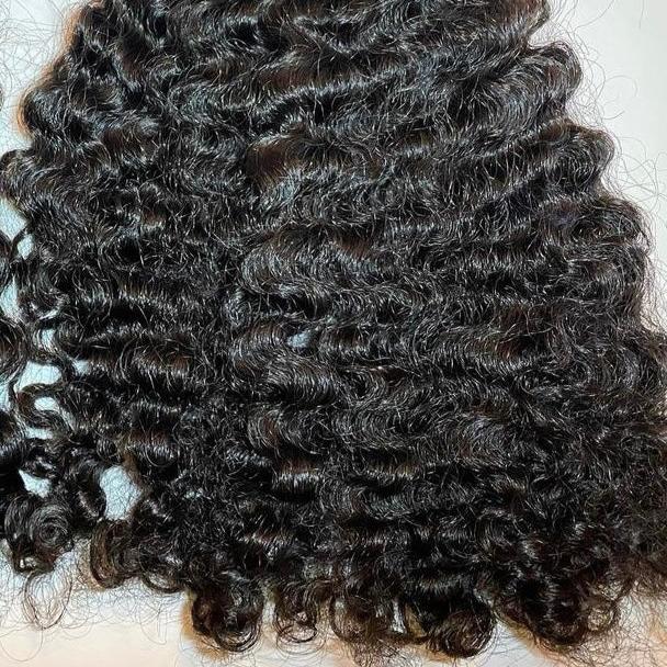 BURMESE CURLY